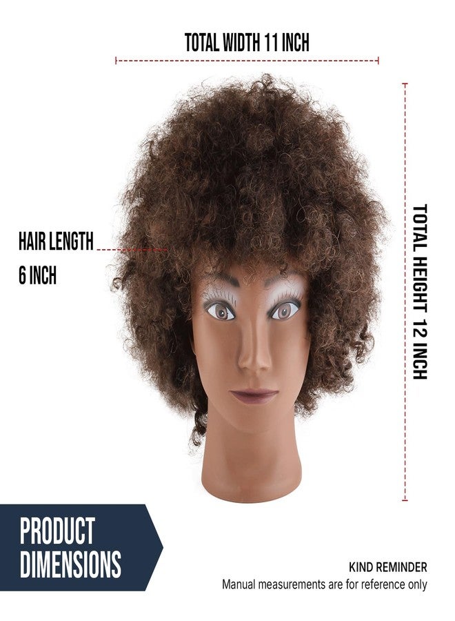 AliLeader Afro mannequin head with 100% Human Hair Mannequin Head Curly Cosmetology for Display Practice Braiding Styling Training Head Hair Styling (Brown, 6 Inch) - Image 3